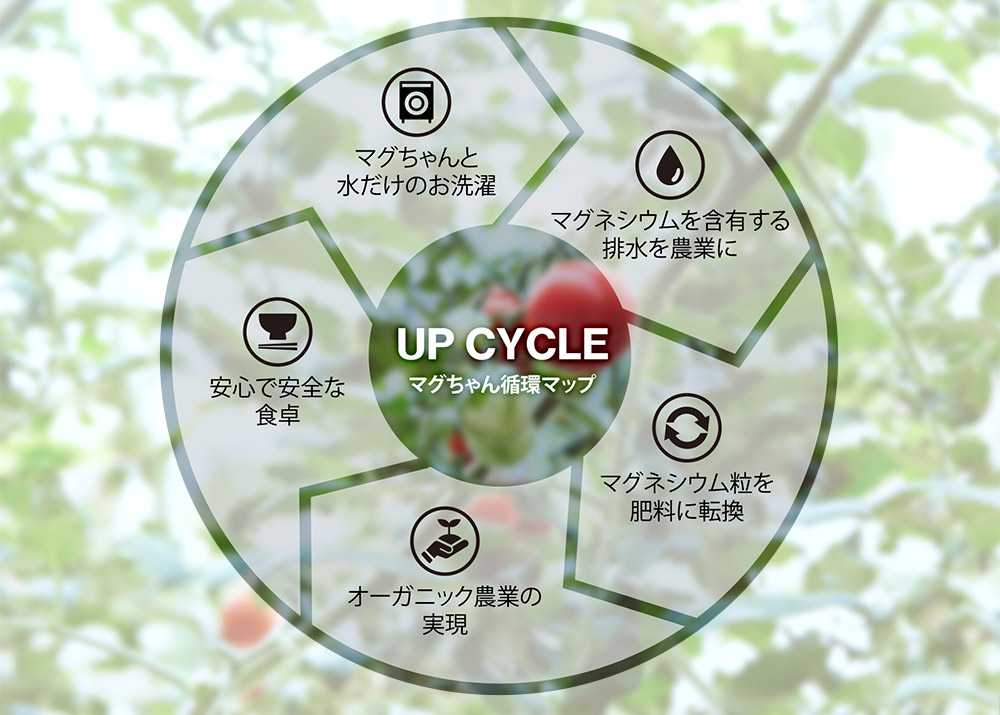 マグちゃん循環マップ